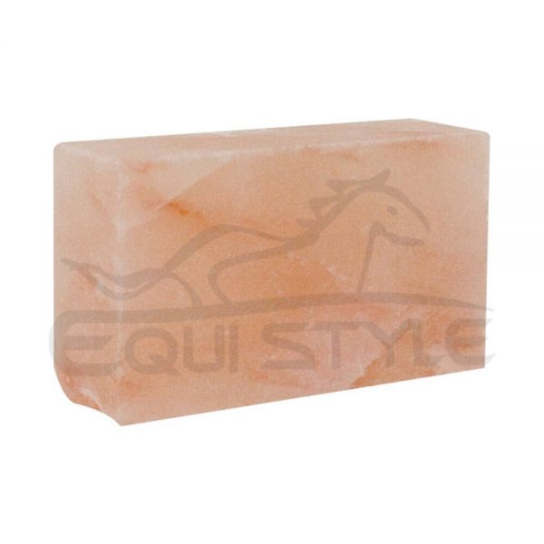Salt Bricks For Wall Premium Quality