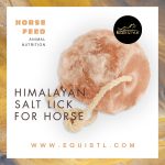 Himalayan Salt Licks For Horses 1.5 Kg
