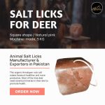 Salt Licks For Deer Mineral Blocks Large 5kg