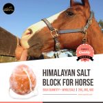 Salt Licks For Horses Natural Pink 3 kg