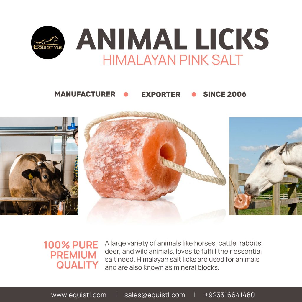 Himalayan Pink Animal Licking Salt