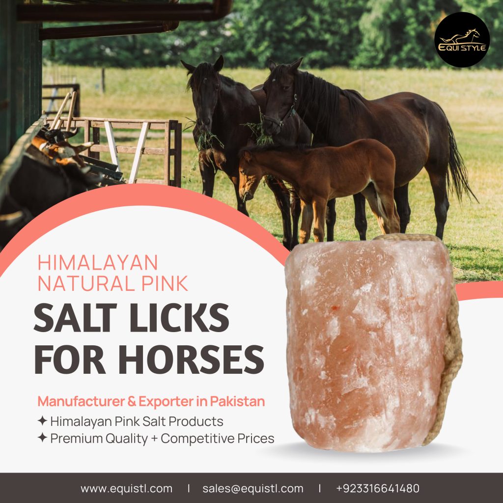Natural Pink Salt Licks For Horses