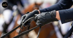 Read more about the article Best Equestrian Riding Gloves: Features, Benefits & Top Picks