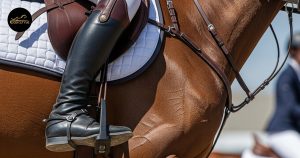 Read more about the article What Are Half Chaps: Benefits, Types & Care Tips for Riders