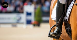 Read more about the article History of Half Chaps – Evolution of Equestrian Riding Legwear