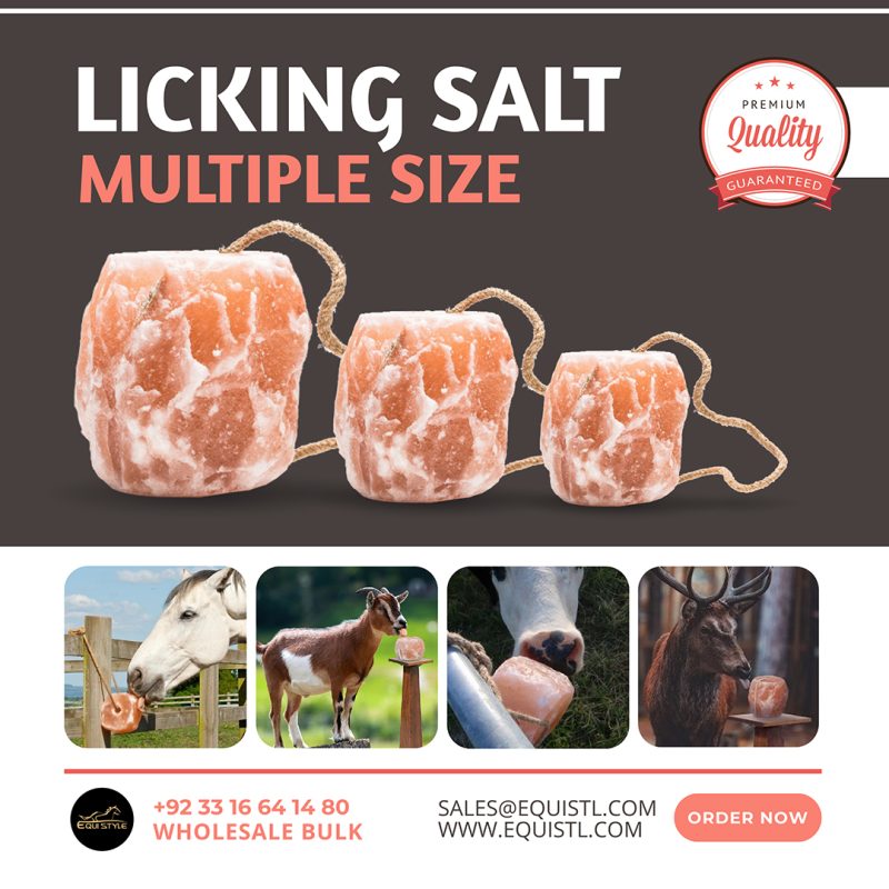 Himalayan Salt Licks Exporters From Pakistan