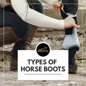 Read more about the article Different Types Of Horse Boots: How To Choose The Best