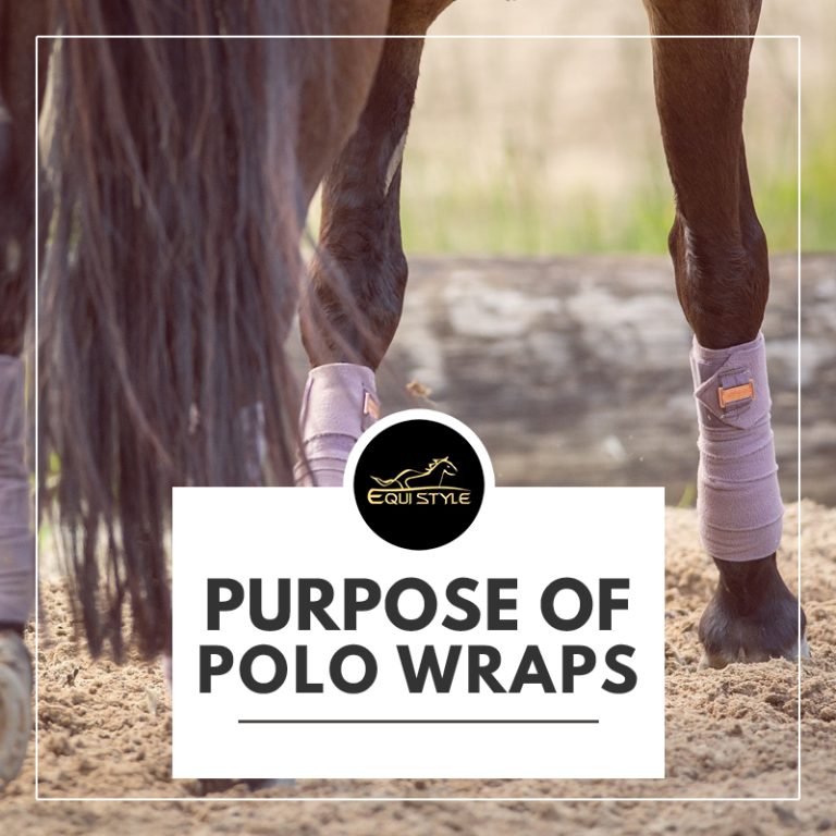 Read more about the article What are Polo Wraps For? – Polo Wraps Purpose