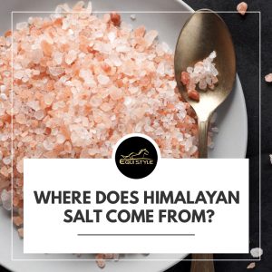 Read more about the article Where does Himalayan salt come from?