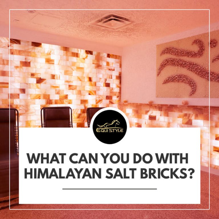 Read more about the article What are the Uses of Himalayan Salt Bricks? 