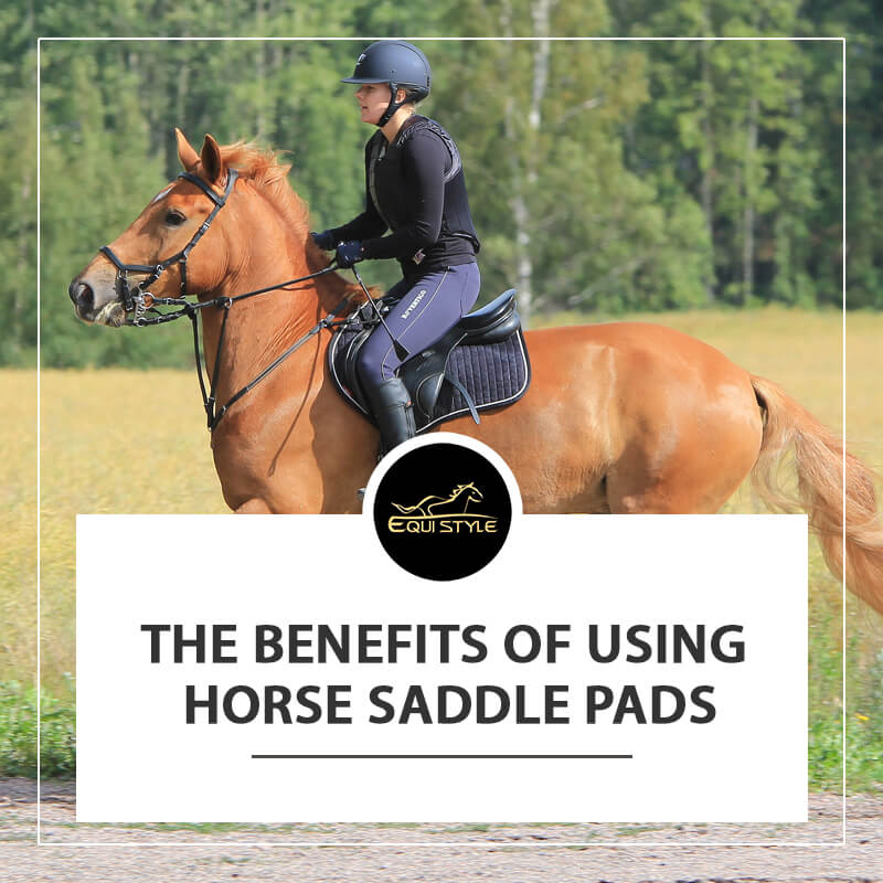 The Benefits of Using Horse Saddle Pads