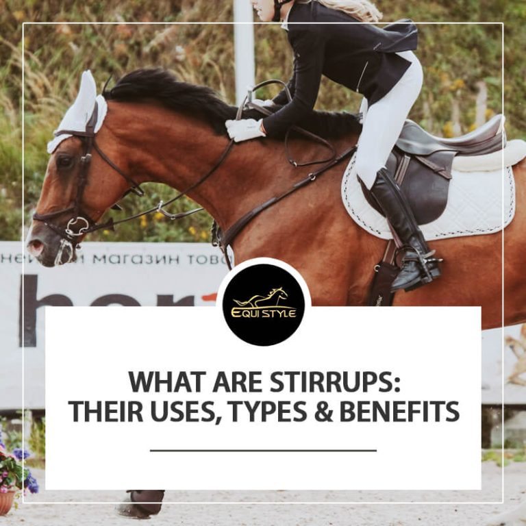 Read more about the article What are Stirrups: Their Uses, Types and Benefits