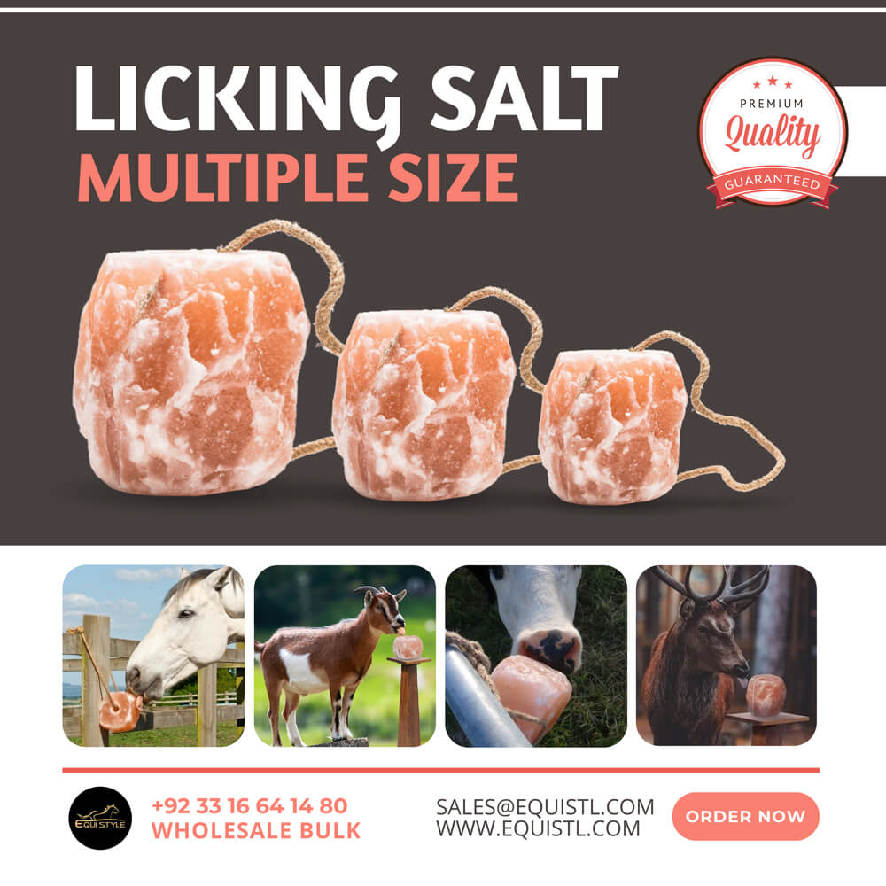 Bulk Himalayan animal salt licks for horses, cattle, goats, deer on pallets for farms, ranches, and wildlife centers