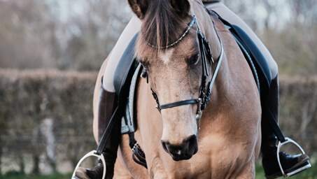 horse riding equipment wholesale supplier gloves saddle pads tack